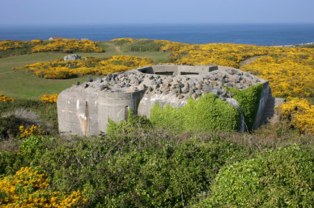 Fl 242 fr 20 mm Flak 38 bei La Grand Hogue
