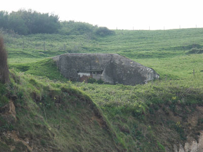 R 667