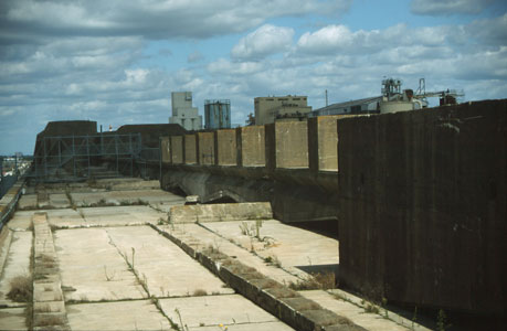 Das Dach des Werftbunkers