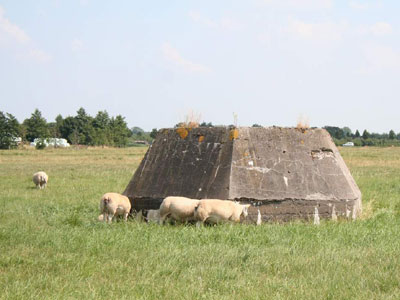 Sockel fr Wrzburg-Riese